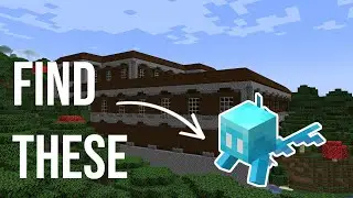 How To Find A Woodland Mansion (and Allays) In Minecraft 1.19