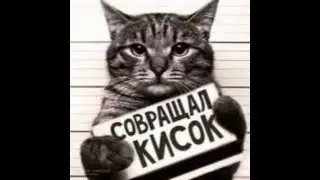 Притча  ядра чистый изумруд