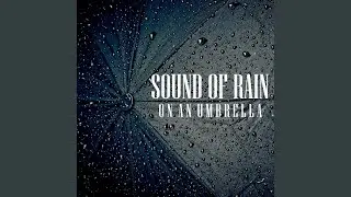 Sound of Rain on an Umbrella, Pt. 26