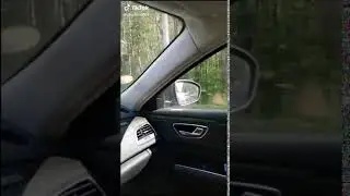 Женская логика