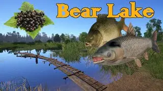 Bear Lake | Porzeczka / currant TEST no pva | Russian Fishing 4  #52
