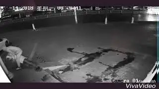 Приколы 2018