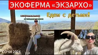 СОЧИ / ЭКОФЕРМА «ЭКЗАРХО»// Куда съездить с детьми?// Семейный отдых//горы Мацесты.