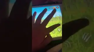 Для хаос альфи