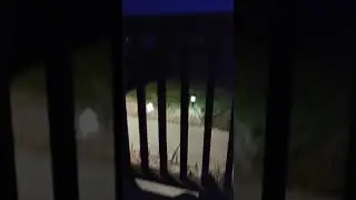 Evening porch with the girls and wind