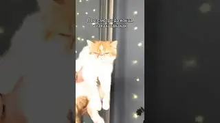 Киселёчек топ