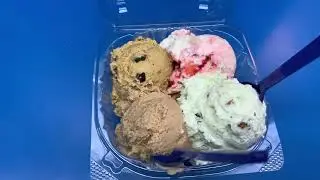 Handel's Homemade Ice Cream & Yogurt