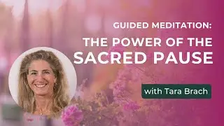 Guided Meditation: The Power of The Sacred Pause, with Tara Brach