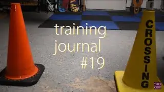 Training Journal #19 - Projects Underway