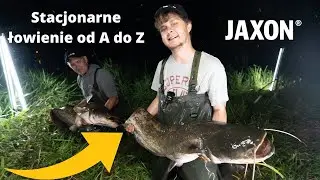 Stacjonarne Łowienie Sumów: Kompletny Poradnik od A do Z + Bonus - Klenie na Chleb