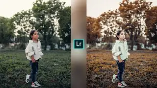 Grey And Gold Effect Lightroom Photo Editing | Photo Editing Tutorial | Lightroom App Photo Editing