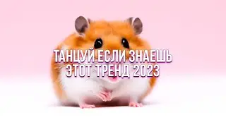 🧡ТАНЦУЙ ЕСЛИ ЗНАЕШЬ ЭТОТ ТРЕНД 2023🐹