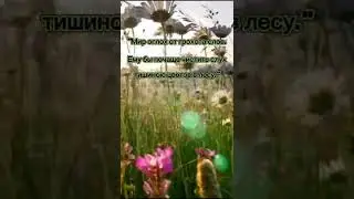Грохот слов.