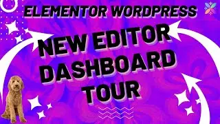 Elementor's New React Dashboard Overview 🚀 Quick tour of Elementor's new content management layout.
