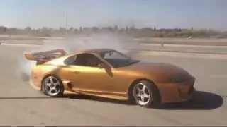 GOLD DREAM SUPRA