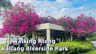 Walking along the Kallang Riverside Park