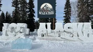 Come Tour Ice Alaska World Art Championship with Wild and Free- Interior Alaska!