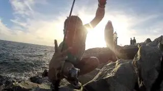 澳洲一take中魚紀錄