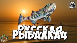 🐟 Русская Рыбалка 4 Диалоги о Рыбалке Турнир 