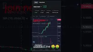 bora band #boraband #tradingplatforms # cryptocurrency
