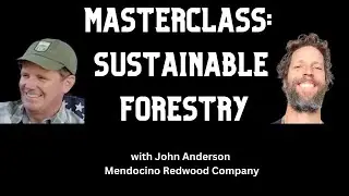 Can we use and save our forests? Deep Dive Interview with the Expert