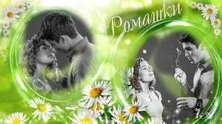 Ради любви я все смогу. Костя и Маша. Ромашки.