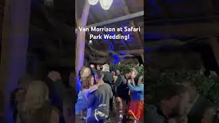 Moondance by Van Morrison worked great at a recent San Diego wedding! #moondance #safariparkwedding