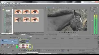 how to fade a clip clip into black and white