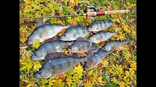 САМАЯ УЛОВИСТАЯ СНАСТЬ НА ОКУНЯ! Убийца окуня! Рыбалка на Десне