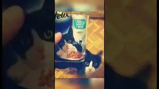Совпадения на миллион!? 