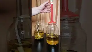 Filtering feijoa tincture 