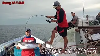 Hasil Mancing Di Laut Bontang || Strike dogtooth