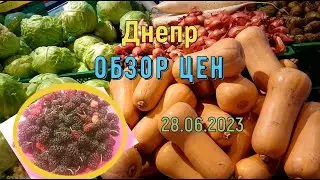 Днепр 😜Обзор цен🌀 ПРОДуКТЫ🍇 урожай на ОКНЕ🗿 28.06.2023.