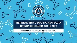 СШ-2 ВО «Звезда» – СШ «Электрон». Первенство СЗФО среди юношей до 18 лет. Полуфинал