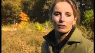 De Schat van Drenthe - Drentse Aa