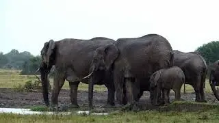 Ol Pejeta, the Drought has broken