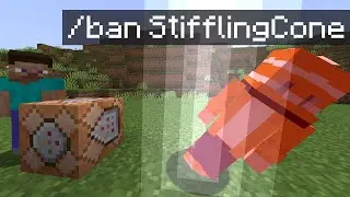 How I Got Banned from my own Minecraft Server...