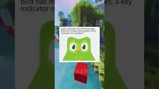 Duolingo Memes