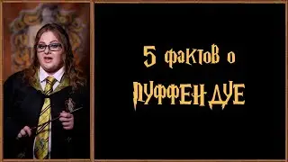 Хогвартс. 5 фактов о факультете Пуффендуй.