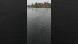 щучка на Северском донце