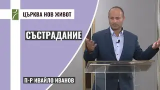 Състрадание