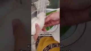 Jangan pernah kau lawan ibumu