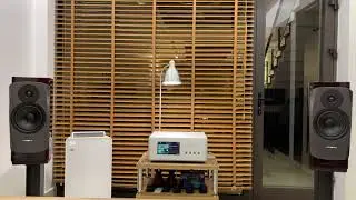 Dynaudio Confidence 20 & Boulder 866 #04