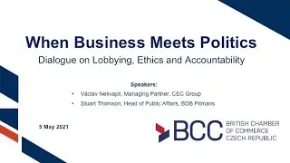 When Business Meets Politics