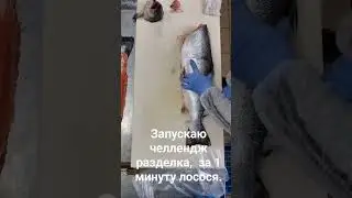 19 сентября 2023 г.