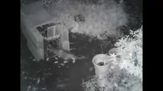 Gotcha!