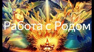 Работа с родом.