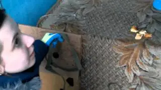 Собака с остановки