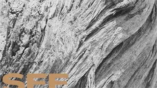How To Build A Forest – Teaser – SFF 23