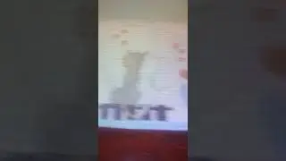 Мои рисунки по клеточкам и просто рисунки